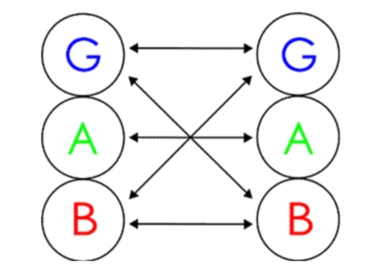 Nessuno è Esperto Di Vita